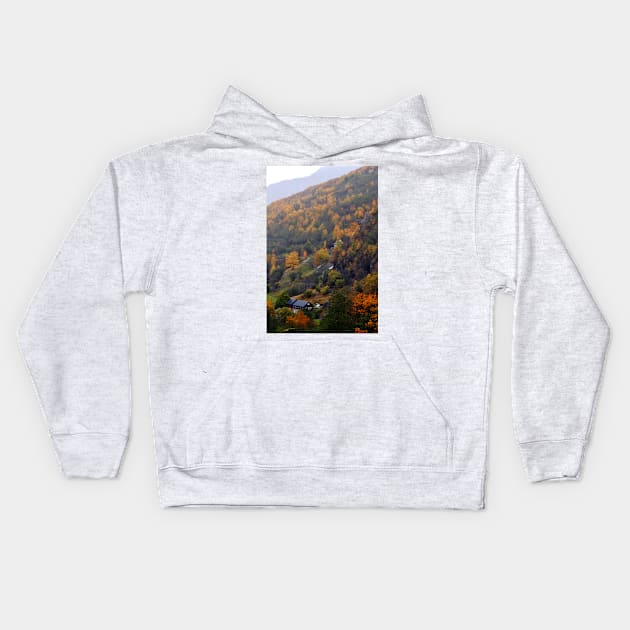 Autumn Trees Flamsdalen Valley Flam Norway Kids Hoodie by AndyEvansPhotos